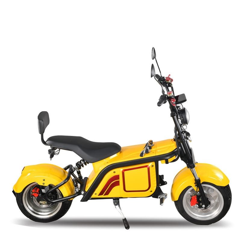 2023 New Products 5000W 4000W 3000W 100Km Range