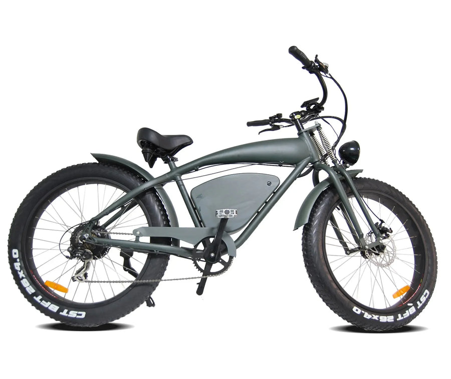 1000W 26 Inch Electric Bicycle 48V 20AH Electric Bike Fat Tire