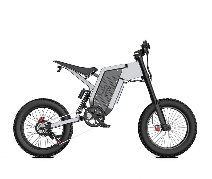 Adults Electric Bike 2000W 48V35AH 55km/h Samsung Battery Off Road Tyre Mountain